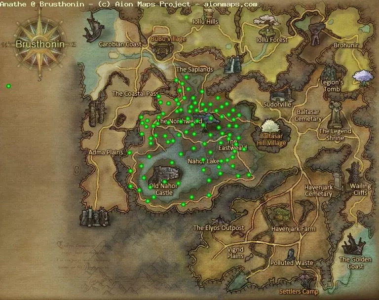 Anathe in Brusthonin