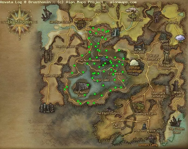 Asvata Log in Brusthonin