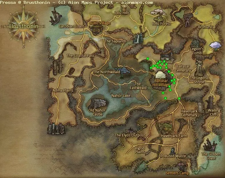 Pressa in Brusthonin