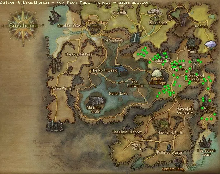 Zeller in Brusthonin