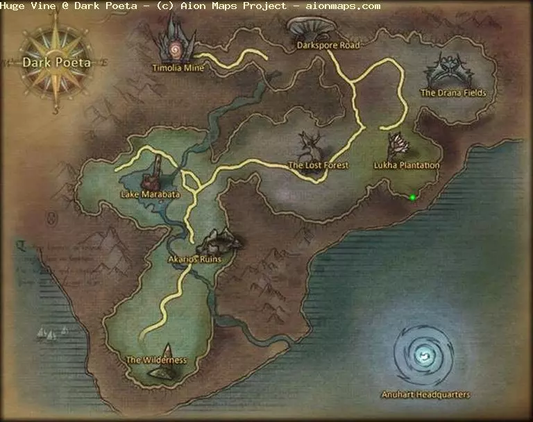 Huge Vine in Dark Poeta